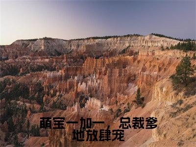 萌宝一加一，总裁爹地放肆宠（蔺商左薇）小说全文免费阅读无弹窗_（蔺商左薇）萌宝一加一，总裁爹地放肆宠小说全文免费阅读最新章节列表笔趣阁