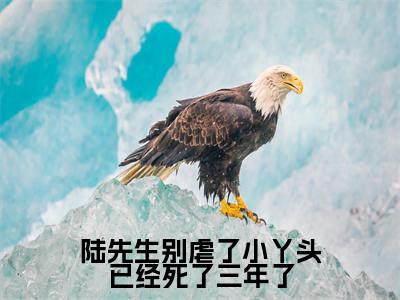 陆先生别虐了小丫头已经死了三年了（江小渔陆景庭）全文免费阅读无弹窗_陆先生别虐了小丫头已经死了三年了完整版最新阅读_笔趣阁（江小渔陆景庭）