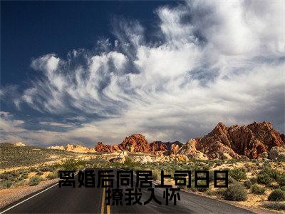 离婚后同居上司日日撩我入怀全文（陆屿行季蓁）小说免费阅读无弹窗大结局_离婚后同居上司日日撩我入怀全文无弹窗完整版阅读
