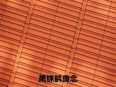 虞念萧锦鹤小说（萧锦鹤虞念）免费阅读_虞念萧锦鹤小说免费阅读-笔趣阁