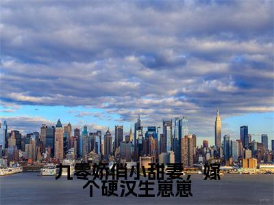 九零娇俏小甜妻，嫁个硬汉生崽崽全文免费阅读大结局_九零娇俏小甜妻，嫁个硬汉生崽崽最新章节列表_笔趣阁（程紫谢辞）