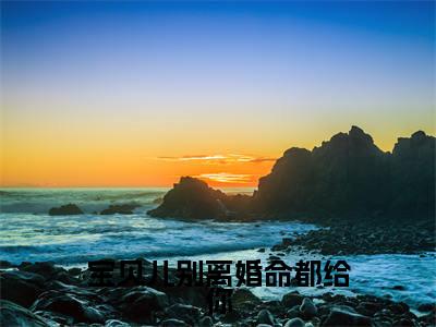 宝贝儿别离婚命都给你（白音音顾言淮）全文免费读无弹窗大结局_（白音音顾言淮免费小说）宝贝儿别离婚命都给你无弹窗最新章节列表