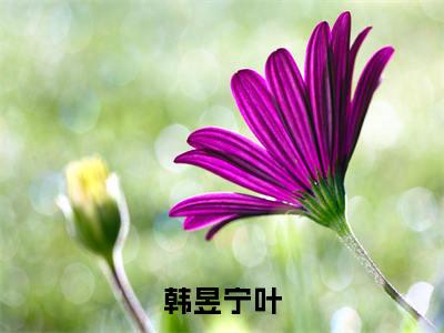 宁叶韩昱（韩昱宁叶）全文在线阅读无弹窗大结局_韩昱宁叶全文无弹窗最新章节列表_笔趣阁