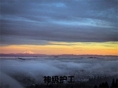 苏锦是什么小说-小说神级护工全文阅读