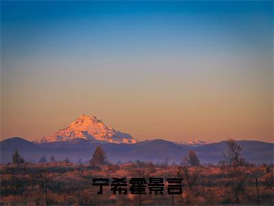 霍景言宁希全文免费阅读无弹窗大结局-宁希霍景言最新章节列表免费阅读