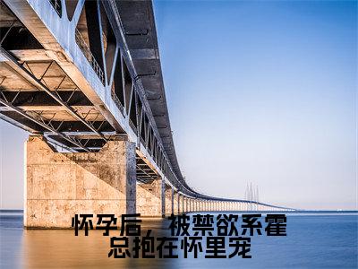 霍见深宋西棠（怀孕后，被禁欲系霍总抱在怀里宠）全文免费阅读_（怀孕后，被禁欲系霍总抱在怀里宠）霍见深宋西棠最新章节列表_笔趣阁