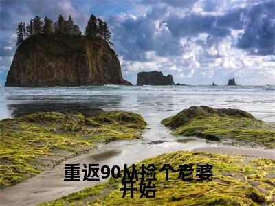 重返90从捡个老婆开始的小说全文免费阅读无弹窗，李斯文的小说在线免费阅读大结局（李斯文）