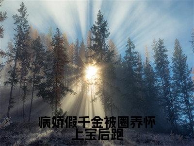 白梦鱼沈听肆（病娇假千金被圈养怀上宝后跑）是什么小说_主角是（白梦鱼沈听肆）的小说（病娇假千金被圈养怀上宝后跑）最新章节无弹窗阅读