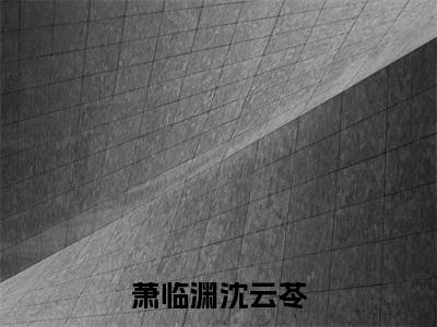萧临渊沈云苓免费阅读沈云苓萧临渊最新章节目录