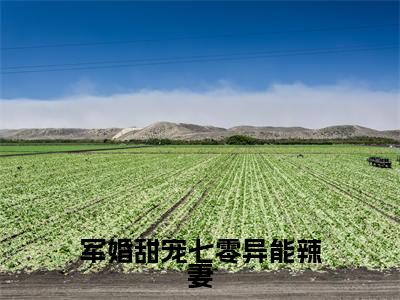 军婚甜宠七零异能辣妻（孟月华崔磊）小说免费阅读完结版-军婚甜宠七零异能辣妻小说全文免费阅读