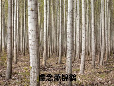 （热推新书）虞念萧锦鹤全文免费阅读无弹窗大结局-热推虞念萧锦鹤无弹窗阅读虞念萧锦鹤在线阅读