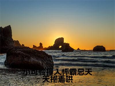 小可怜撞入怀霸总天天抱着哄（宋琦琦孙熠柠）全文免费阅读无弹窗_（宋琦琦孙熠柠）小可怜撞入怀霸总天天抱着哄最新章节列表