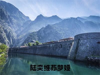 陆奕维苏梦娅（苏梦娅陆奕维）免费阅读完整版-（陆奕维苏梦娅小说）苏梦娅陆奕维全文大结局已完结