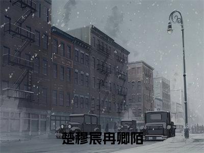 楚穆宸冉卿陌（楚穆宸冉卿陌）全文在线阅读无弹窗大结局_楚穆宸冉卿陌免费阅读全文大结局