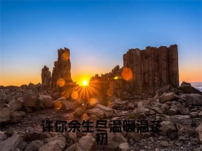 许你余生尽温暖温芷初全网首发最新小说，主角傅瑾司温芷初全文在线免费阅读