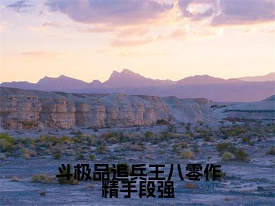 斗极品追兵王八零作精手段强热门榜单小说钟婉凝虞司政完本小说无弹窗免费阅读
