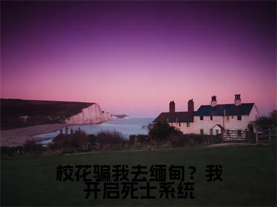 校花骗我去缅甸？我开启死士系统主角是林辰全文免费阅读无弹窗-校花骗我去缅甸？我开启死士系统最新章节列表-笔趣阁