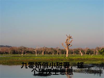 九零娇俏小甜妻，嫁个硬汉生崽崽（程紫谢辞）全文免费阅读无弹窗大结局_程紫谢辞最新章节列表_笔趣阁（九零娇俏小甜妻，嫁个硬汉生崽崽）