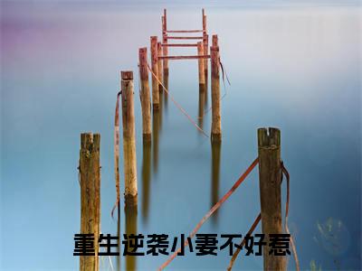 苏灵溪小说（重生逆袭小妻不好惹）全文免费阅读无弹窗大结局_重生逆袭小妻不好惹小说最新章节列表_笔趣阁（苏灵溪）