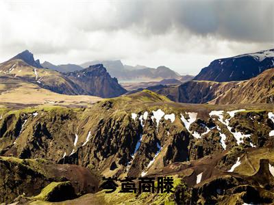 岑鸢商滕小说热门榜单免费阅读，岑鸢商滕抖音新上热文分享_笔趣阁（岑鸢商滕）