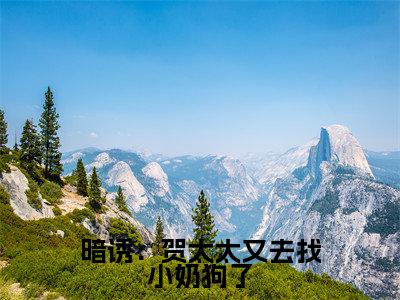 暗诱：贺太太又去找小奶狗了小说热门榜单免费阅读，温欲晚贺庭舟抖音新上热文分享_笔趣阁（暗诱：贺太太又去找小奶狗了）