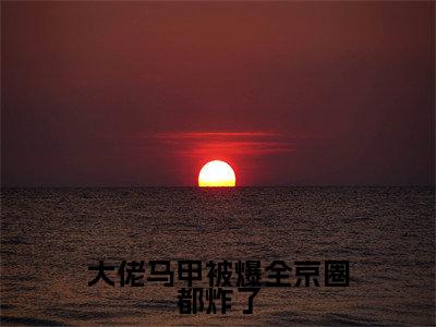大佬马甲被爆全京圈都炸了小说全文大结局-大佬马甲被爆全京圈都炸了（姜野陆骁）小说全文免费阅读