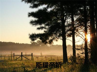 斯耀帝娇（帝娇斯耀小说）全文免费阅读无弹窗大结局_帝娇斯耀完整版小说阅读