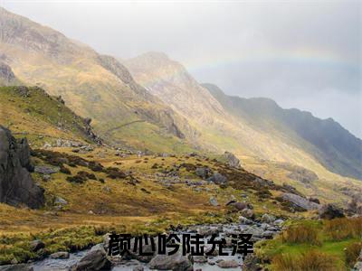 陆允泽颜心吟小说在线阅读颜心吟陆允泽无广告小说免费在线阅读（免费）+（结局）