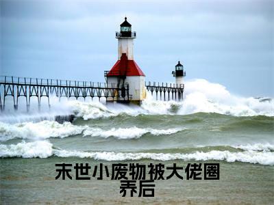 段景深唐棠（末世小废物被大佬圈养后）全文免费阅读无弹窗大结局_段景深唐棠最新章节列表_笔趣阁（末世小废物被大佬圈养后）