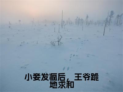 小妾发疯后，王爷跪地求和（玥南宸蓝水瑶）完结版小说-小妾发疯后，王爷跪地求和小说全文免费阅读笔趣阁