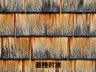 姜晚时凛小说全文免费阅读（时凛姜晚）全文免费时凛姜晚读无弹窗大结局姜晚时凛