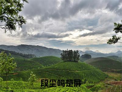段尘鸣楚屏（楚屏段尘鸣）全文免费阅读无弹窗大结局_段尘鸣楚屏最新章节列表-笔趣阁楚屏段尘鸣