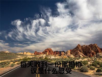 黎欢青季遇谦全文免费阅读大结局-每天收到一份离婚协议是什么感受最新章节阅读