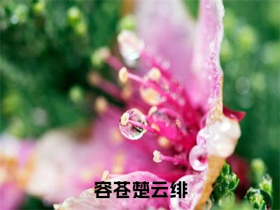 容苍楚云绯全文免费阅读无弹窗大结局_（楚云绯容苍）容苍楚云绯小说免费阅读完整版全文大结局