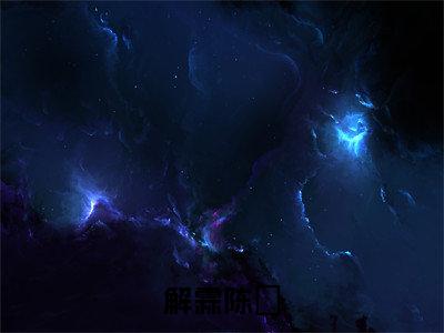 陈沬解霖小说解霖陈沬完整版大结局-陈沬解霖小说完结版在线阅读
