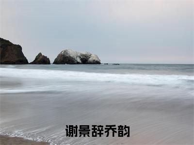 乔韵谢景辞全文免费阅读_乔韵谢景辞（谢景辞乔韵）最新章节列表笔趣阁