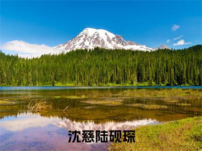 陆砚琛沈慈（沈慈陆砚琛）在哪免费看-陆砚琛沈慈小说（沈慈陆砚琛）全文完整版免费阅读