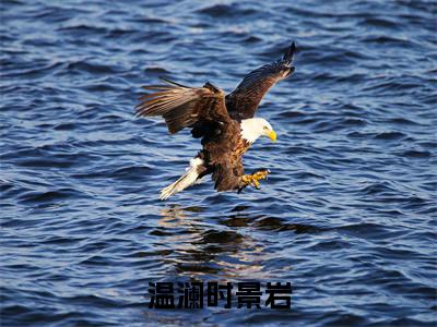 （温澜时景岩）温澜时景岩全文免费阅读无弹窗_（温澜时景岩小说免费阅读）最新章节列表笔趣阁
