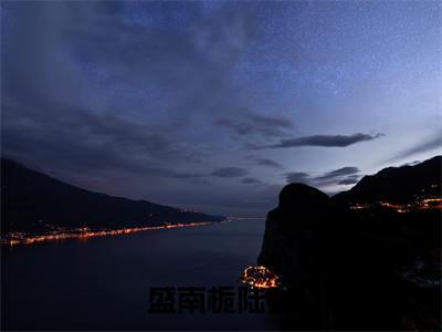 盛南栀陆铖小说（盛南栀陆铖）全文免费阅读无弹窗大结局_盛南栀陆铖最新章节列表_笔趣阁（盛南栀陆铖）