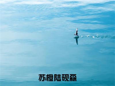 苏橙陆砚森（苏橙陆砚森）全文免费阅读无弹窗_苏橙陆砚森（苏橙陆砚森小说完整版）最新章节列表