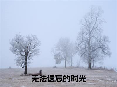 无法遗忘的时光（姜振廷）全文免费阅读无弹窗_无法遗忘的时光:姜振廷最新小说_笔趣阁