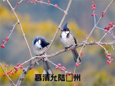 慕清允陆蔪州（慕清允陆蔪州）全文免费阅读无弹窗大结局_慕清允陆蔪州小说最新章节列表_笔趣阁