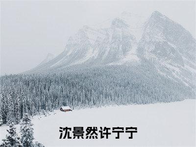 沈景然许宁宁全文免费在线阅读_（许宁宁沈景然免费阅读无弹窗）沈景然许宁宁全文免费完结版阅读