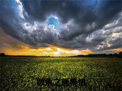【新书】《唐素惜顾承之》顾承之唐素惜全文全章节免费阅读
