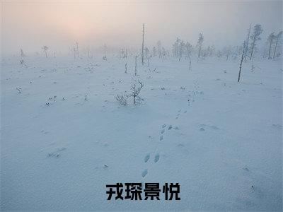 戎琛景悦（景悦戎琛）全文免费阅读无弹窗大结局_戎琛景悦全文阅读_笔趣阁（景悦戎琛）