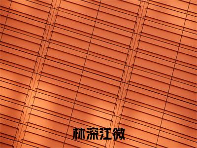 林深江微小说大结局免费阅读，江微林深抖音新上热文分享
