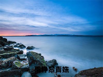 秦铮黎青姝（秦铮黎青姝）小红书热荐小说-秦铮黎青姝女生爱看的小说全集资源