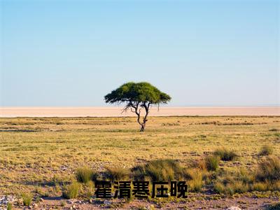 庄晚霍清寒在线阅读（霍清寒庄晚）全文免费阅读_霍清寒庄晚最新章节列表_笔趣阁