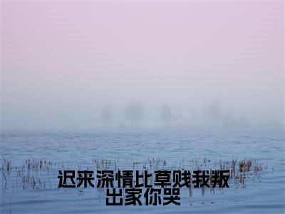 迟来深情比草贱我叛出家你哭（许默谢冰艳）全文免费阅读无弹窗大结局_迟来深情比草贱我叛出家你哭最新章节列表_笔趣阁（免费+番外）