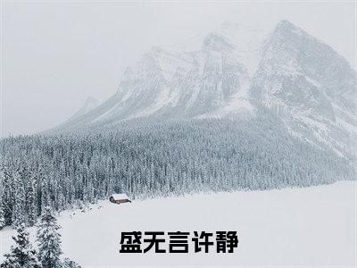 许静盛无言（盛无言许静）全文在线阅读无弹窗大结局_（许静盛无言在线阅读）最新章节列表_笔趣阁